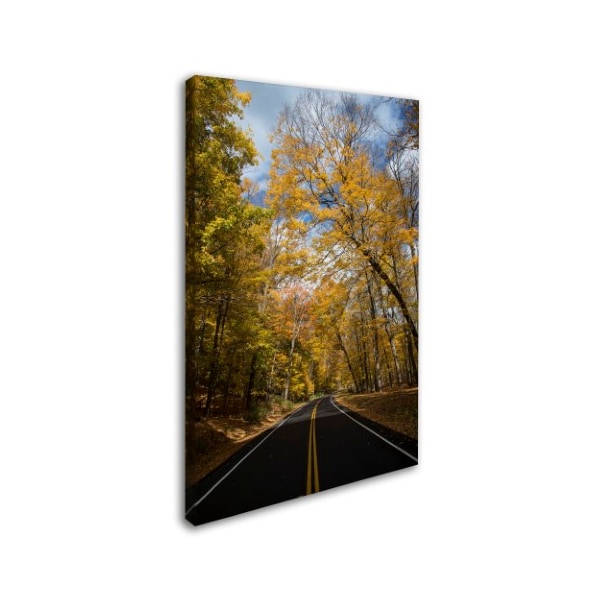 Kurt Shaffer 'Autumn Along The Valley Parkway 2' Canvas Art,12x19